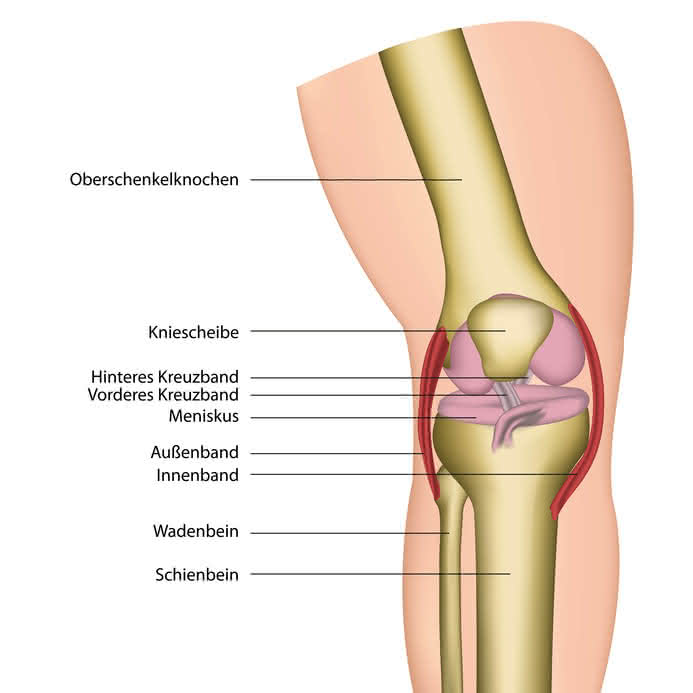 Kreuzbandriss