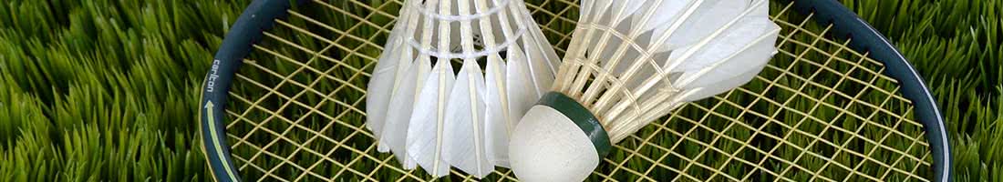 Badminton