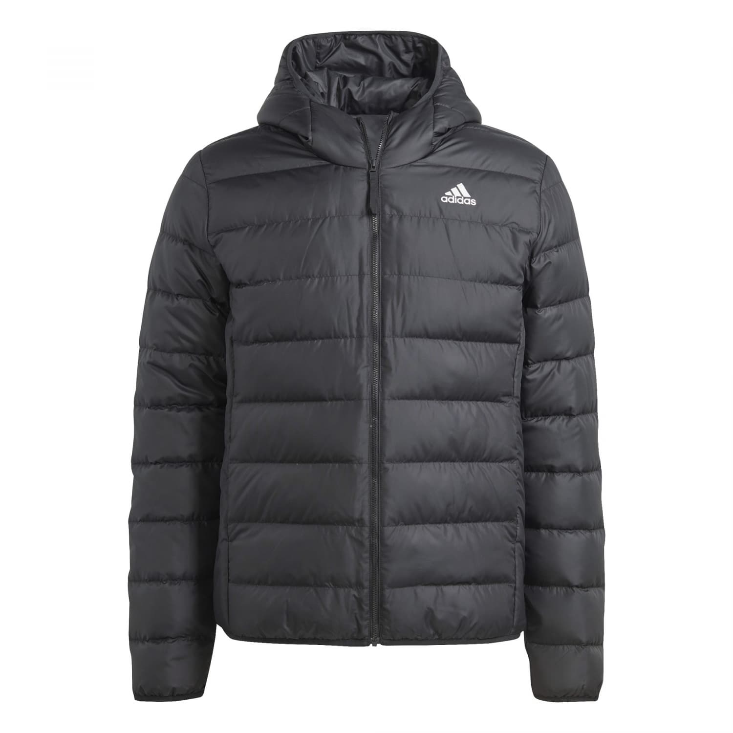 adidas Herren Daunenjacke Essentials Light Hooded Downjacket cortexpower