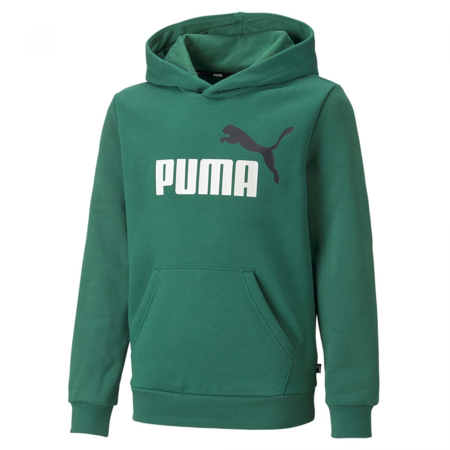 Puma Jungen Hoody ESS+ 2 Col Big Logo Hoodie FL B 586987 | eBay