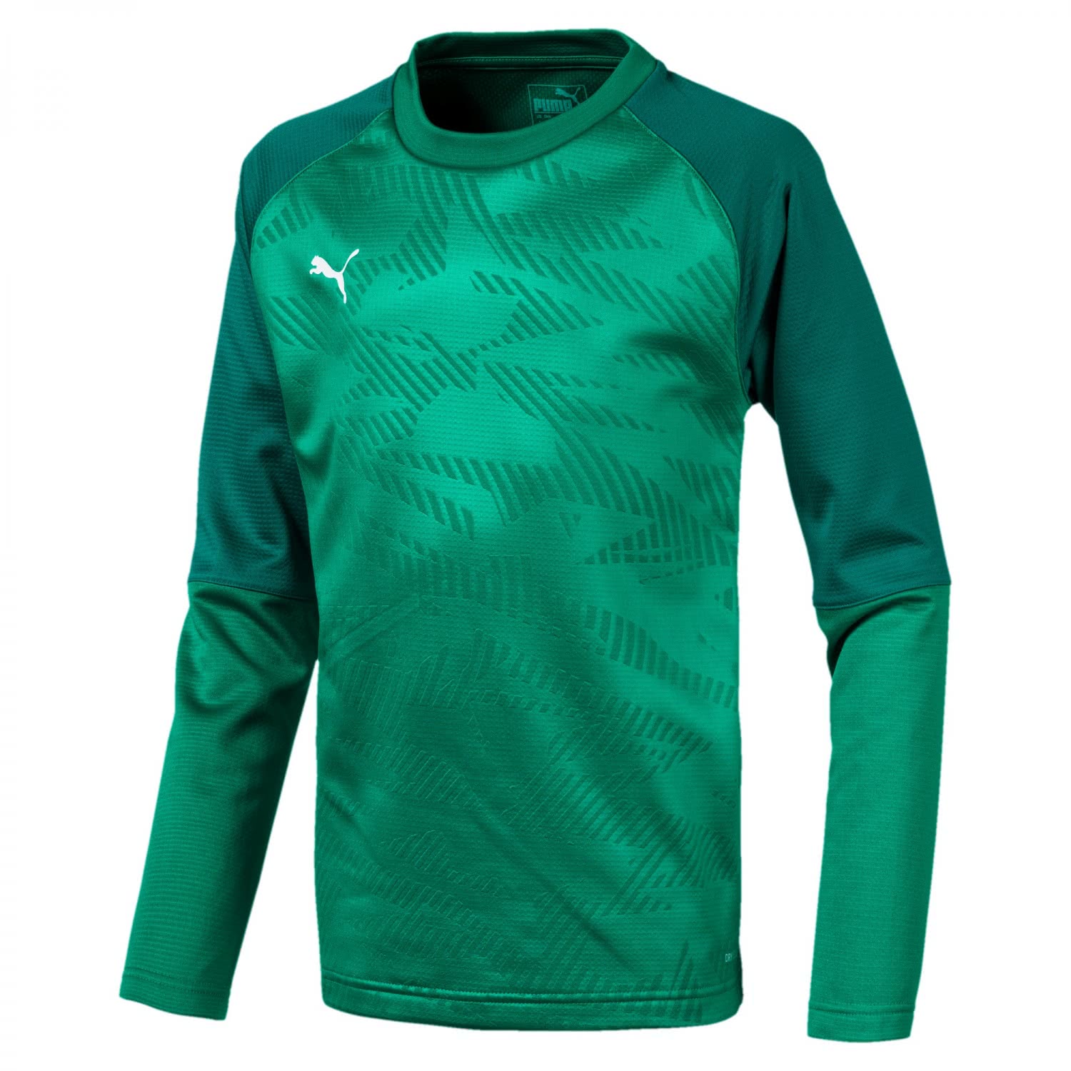 Puma Kinder Pullover Cup Training Sweat Core Jr 656022 cortexpower.de