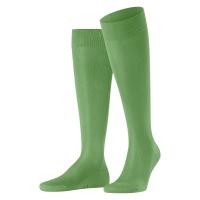 Falke Herren Kniestrümpfe Tiago 15792