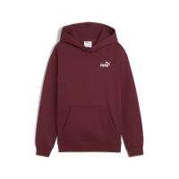 Puma Kinder Kapuzenpullover ESS Small No. 1 Logo Relaxed Hoodie FL 684921