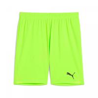Puma Herren Short teamGOAL Shorts 705752