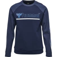 Hummel Herren Pullover Ace Sweatshirt 201657