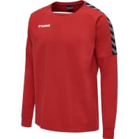 Hummel Herren Sweatshirt Authentic Training Sweat 205373