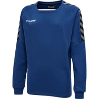 Hummel Kinder Sweatshirt Authentic Training Sweat 205374