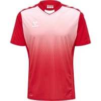 Hummel Herren Trikot Core XK Sublimation Jersey S/S 211459