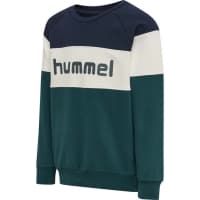 Hummel Jungen Pullover hmlClaes Sweatshirt 215810