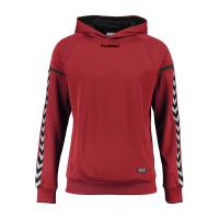 Hummel Kinder Kapuzenpullover Authentic Charge Poly Hoodie 33403