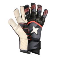 Derbystar Torwarthandschuhe APS Pro Grip v25