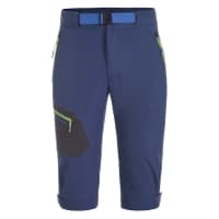 Icepeak Herren Shorts Deland 57500