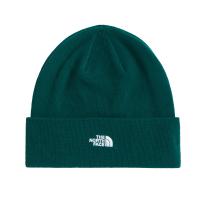 The North Face Unisex Mütze Norm Beanie 5FW1