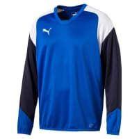 Puma Herren Pullover Esito 4 Training Sweat 655222