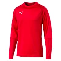 Puma Herren Sweatshirt Liga Training Sweat 655669