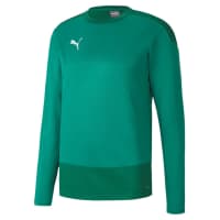 Puma Herren Sweatshirt teamGOAL 23 Training Sweat 656478