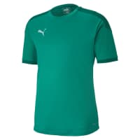 Puma Herren Trainingsshirt teamFINAL 21 Training Jersey 656481