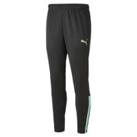 Puma Herren Trainingshose teamLIGA Training Pants 657242