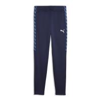 Puma Kinder Trainingshose teamLIGA26 Training Pants Jr 659735