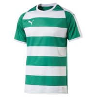 Puma Herren Trikot Liga Jersey Hooped 703422