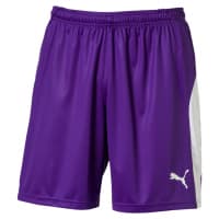 Puma Herren Short Liga Shorts 703431