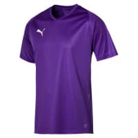 Puma Herren Trikot LIGA Core 703509