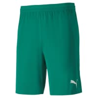 Puma Herren Short teamFINAL 21 Knit Shorts 704257