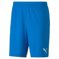 Puma Herren Short teamGOAL 23 Knit Shorts 704262