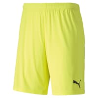 Puma Herren Short teamGOAL 23 Knit Shorts 704262