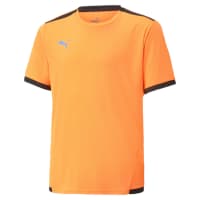 Puma Kinder Trikots teamLIGA Jersey Jr 704925