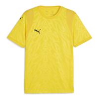 Puma Herren Trikot teamCUP Jersey 706272