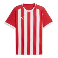 Puma Herren Trikot teamLIGA26 Striped Jersey 706550