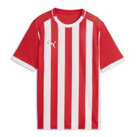 Puma Kinder Trikot teamLIGA26 Striped Jersey 706551
