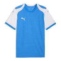 Puma Herren Trikot teamFINAL26 Knit Jersey 706651