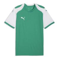 Puma Herren Trikot teamFINAL26 Knit Jersey 706651