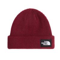 The North Face Mütze Salty Lined Beanie 8CGZ