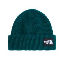 The North Face Mütze Salty Lined Beanie 8CGZ