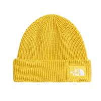 The North Face Mütze Salty Lined Beanie 8CGZ