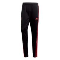 adidas Herren Manchester United Trainingshose 18/19