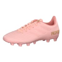 Adidas Fußballschuhe NEMEZIZ MESSI 18.1 FG ASHBLUASHBLURAWGRE DB2089 Adidas Fußballschuhe NEMEZIZ MESSI 18.1 FG ASHBLUASHBLURAWGRE DB2089