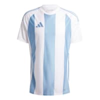 adidas Herren Trikot Striped 24 Jersey