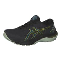 Asics Herren Laufschuhe GT-2000 11 GTX 1011B477