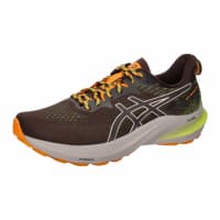 Asics Herren Laufschuhe GT-2000 12 TR 1011B775