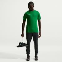 Nike Herren Trikot Park VIII HV8173
