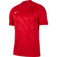 Nike Herren Trikot Challenge III BV6703