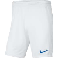 Nike Herren Short Park III BV6855