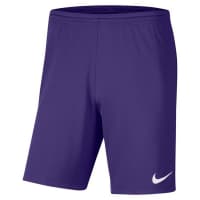 Nike Herren Short Park III BV6855