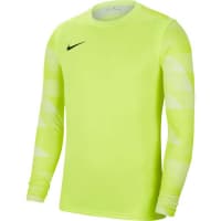 Nike Kinder Torwarttrikot Park IV GK CJ6072