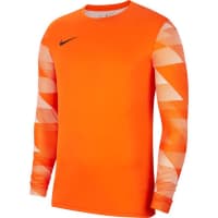 Nike Kinder Torwarttrikot Park IV GK CJ6072