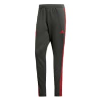 adidas Herren FC Bayern München Trainingshose 2018/19